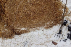 8189d575-c4f9-4e2b-b7af-222d35e0ffa7