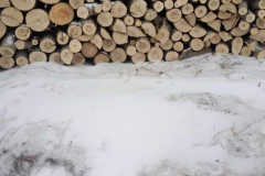 ed7ebf81-543d-488c-be8c-0a68e1117718