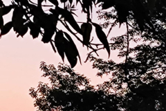 25.05.15_закат-в-монастыре