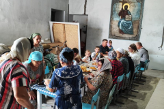 25.08.16_1-паломноки-со-станции-Тобол